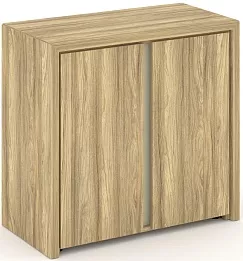 Офисный шкаф низкий широкий (2 низких фасада ЛДСП)