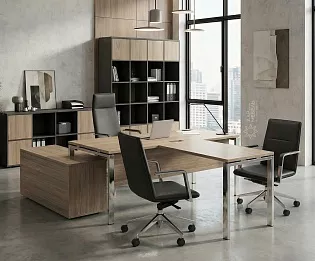 фото кабинет Проджект Люкс Вяз 