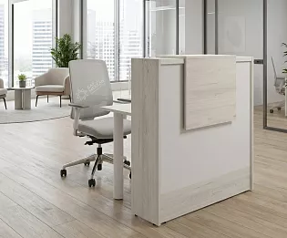 фото ресепшн Стайл Дуб  №3