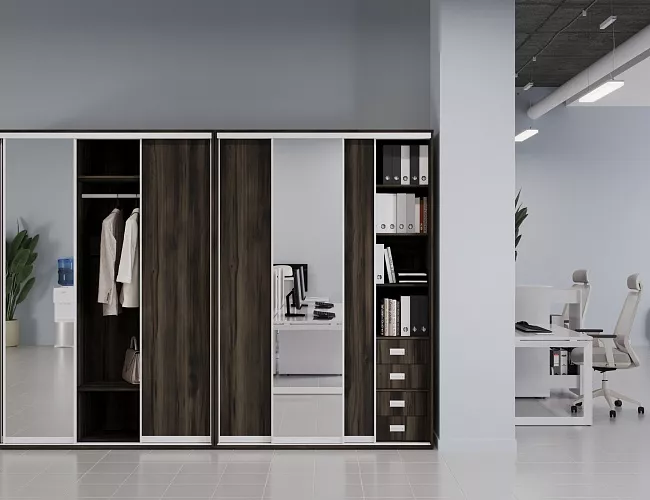 фото Шкафы-Купе Марис Мали №2