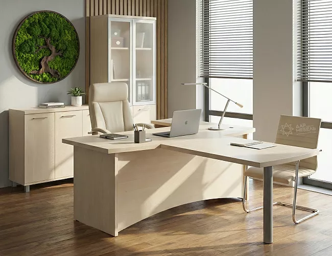 фото кабинет Фёст Клён  №5