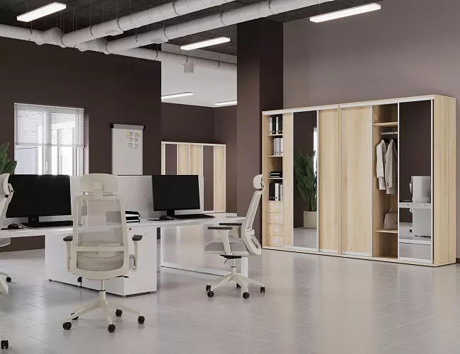 фото Шкафы-Купе Марис Акация №5