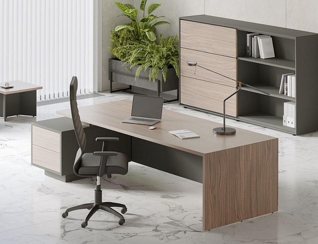 фото кабинет Дали Орех №2