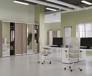 фото Шкафы-Купе Марис  №5