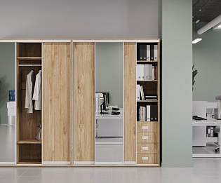 фото Шкафы-Купе Тиквуд  №4