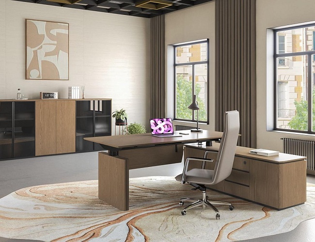 фото Кабинет руководителя Ион №4