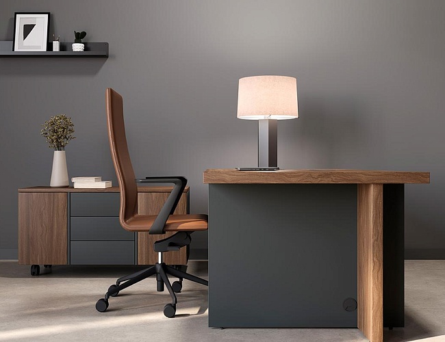 фото кабинет офисный Фабер №2