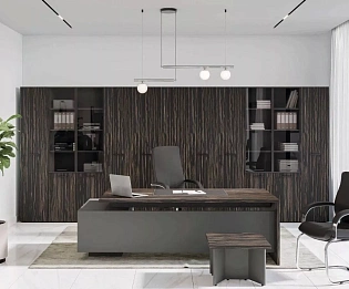 фото мебель руководителя Дали  №4