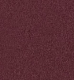 фото стул Сильвия  №2