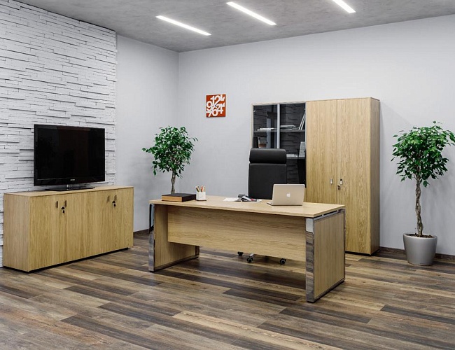 фото кабинет Экзе Дуб №4