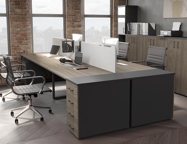 фото мебель Проджект Вяз №5