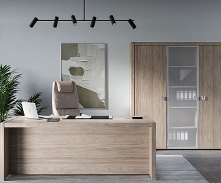 фото кабинет Солид  №4