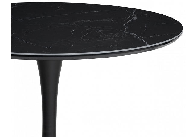 фото Обеденный стол Тулип №4