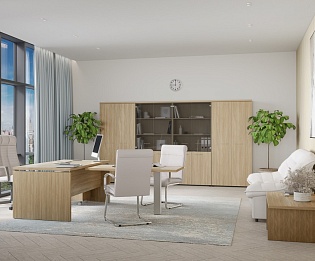 фото кабинет Патриот +  №4