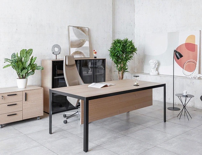 фото кабинет Энцо Блэк