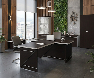 фото кабинет Зум Венге  №2