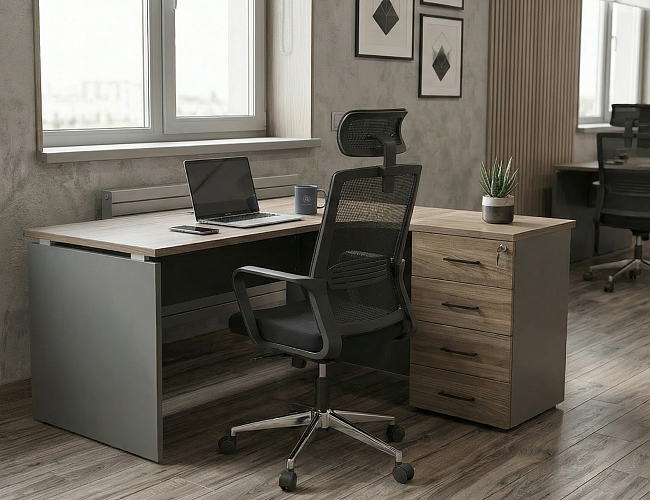 фото мебель Проджект Вяз №2