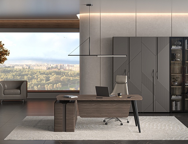 фото кабинет Нуар №2