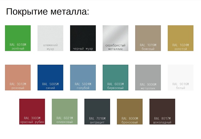 фото секции Вояж №4