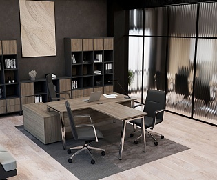 фото кабинет Проджект Люкс Вяз  №5