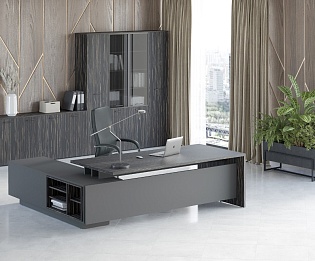 фото мебель руководителя Дали  №5