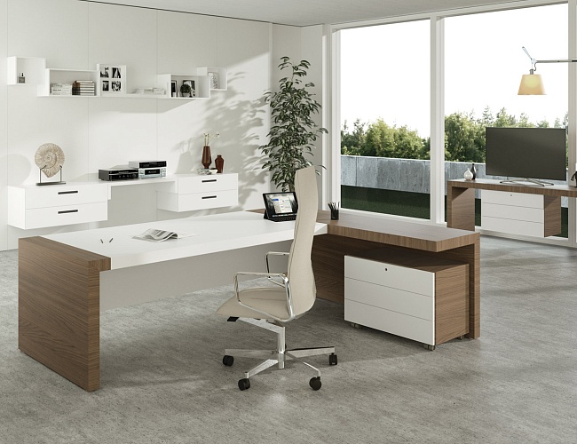 фото кабинет руководителя Кио №4