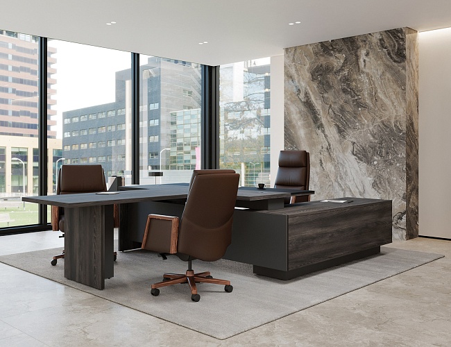 фото Кабинет руководителя Дюкс №3