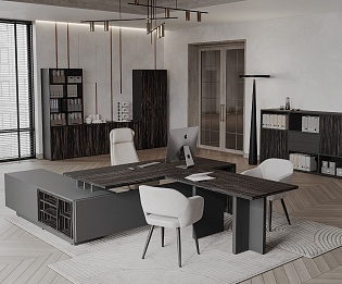 фото мебель руководителя Дали 