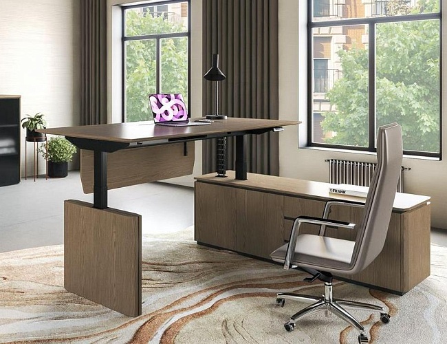 фото Кабинет руководителя Ион