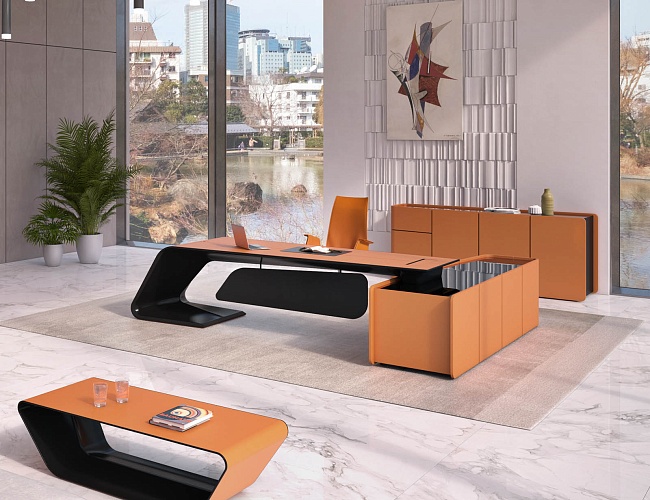 фото кабинет Бугатти Эко №2