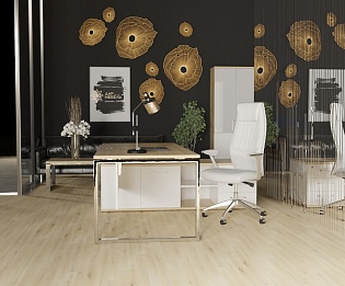 фото кабинет Шифт Хром Тиквуд  №5