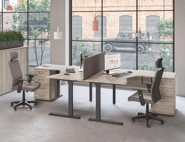 фото мебель Альта ML