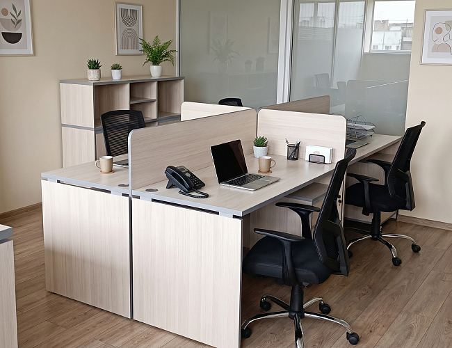 фото мебель Вита Лайт №5