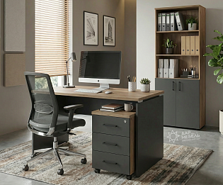 фото мебель Дрим Дуб  №2