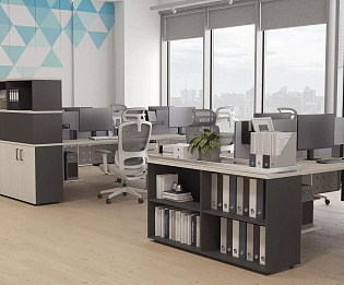 фото мебель Проджект Дуб Н  №5